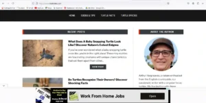 Turtlebins.com | USA UK Targeted AdSense Approved Website on Sale